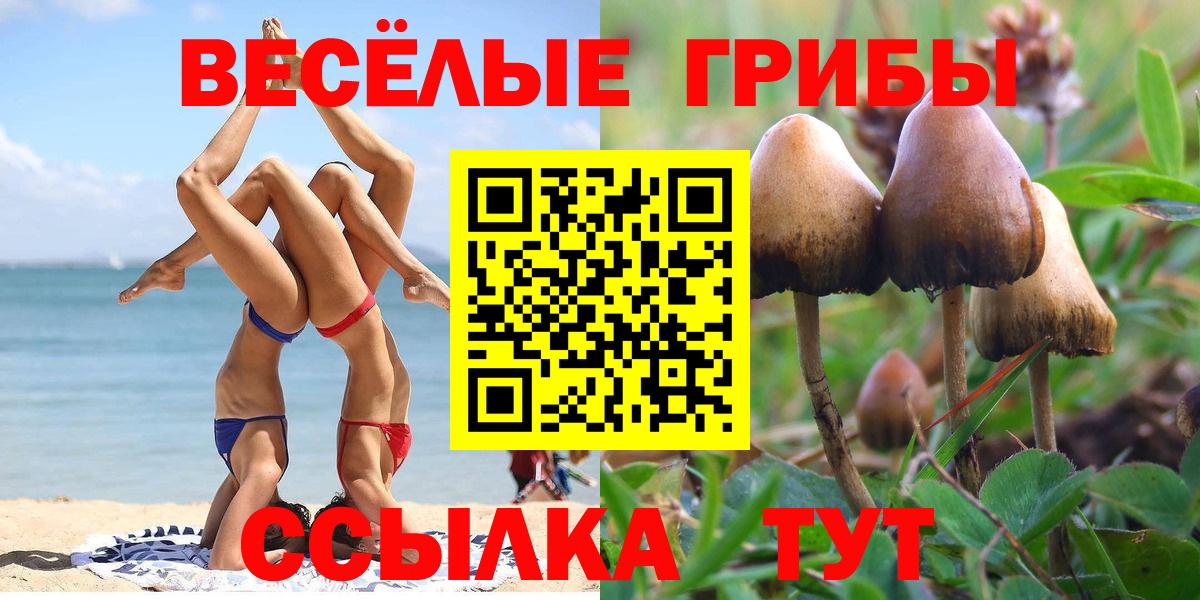 Псилоцибиновые грибы мухоморы  Вход с VPN  Тосно 